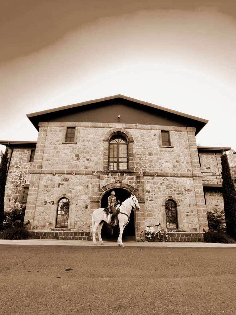 chateau cathiard vineyard